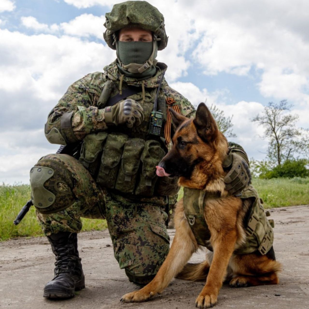 Сапёры